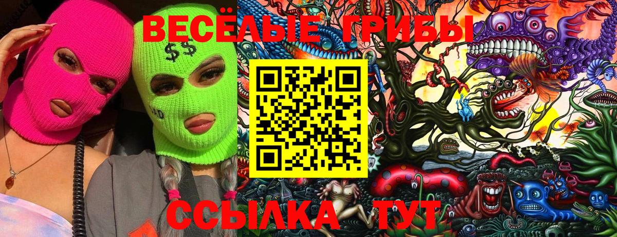 Галлюциногенные грибы Cubensis Артём