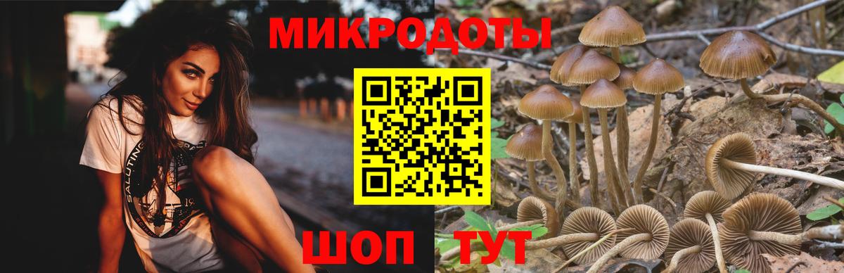 Псилоцибиновые грибы ЛСД  Вход с VPN  Артём 