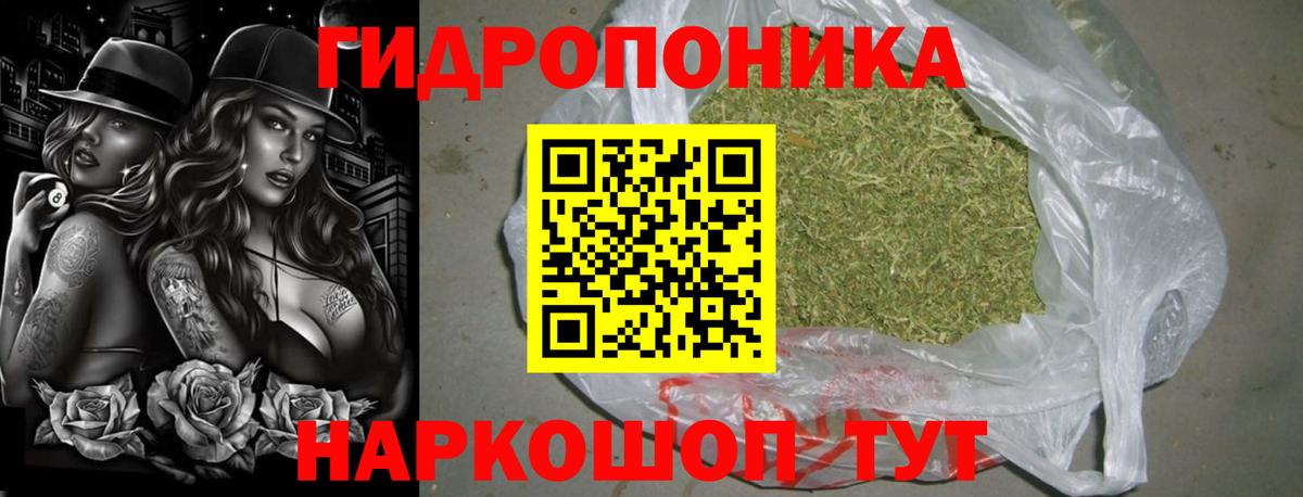 Бошки Шишки VHQ Артём